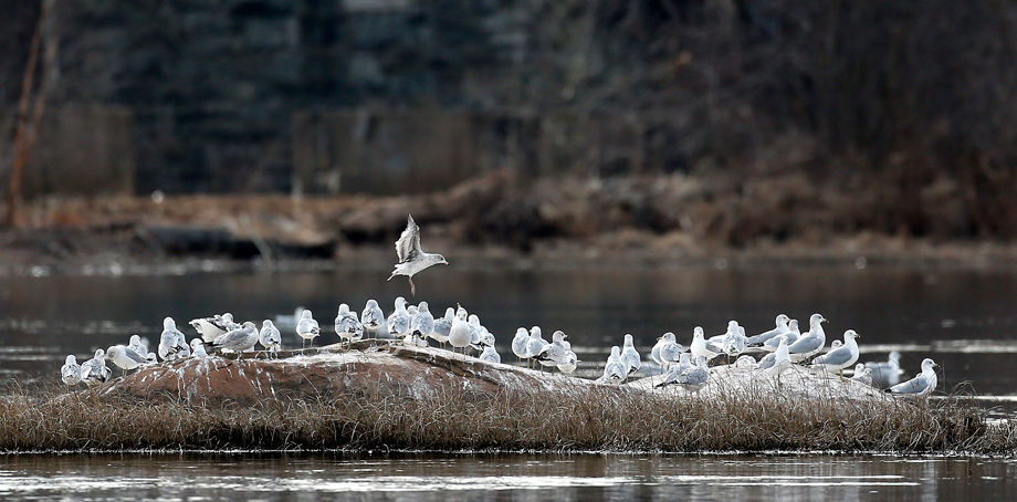 James River Park System